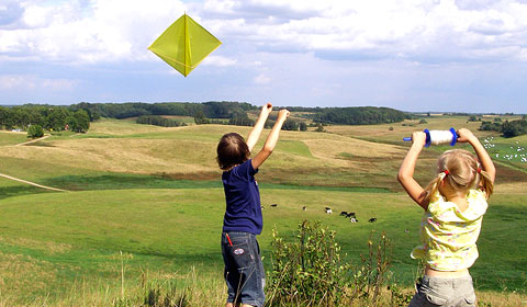 FPSS slide image